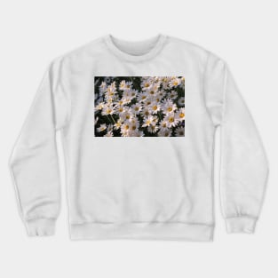 Shasta Daisy Crewneck Sweatshirt